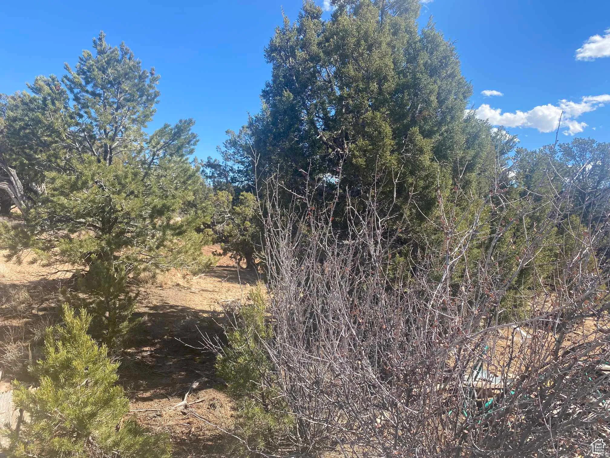 View of undeveloped land