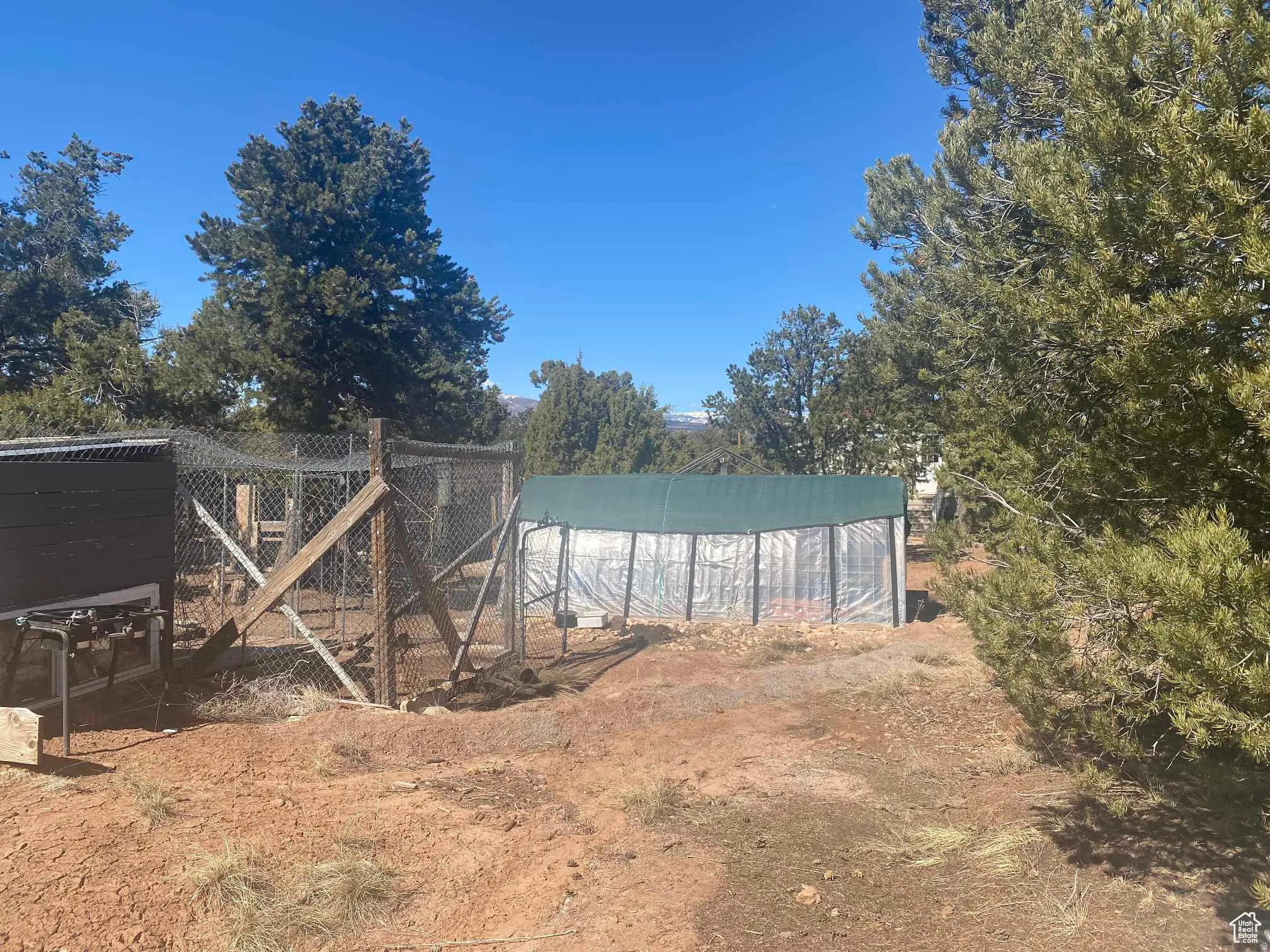 View of chicken coop
