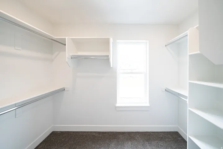 Walk in closet featuring dark carpet