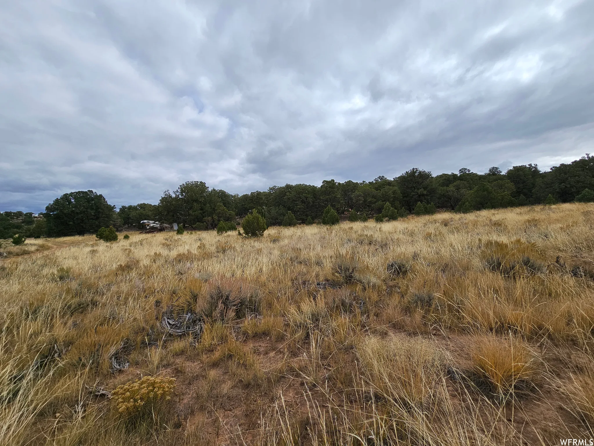 View of undeveloped land featuring rural landscape