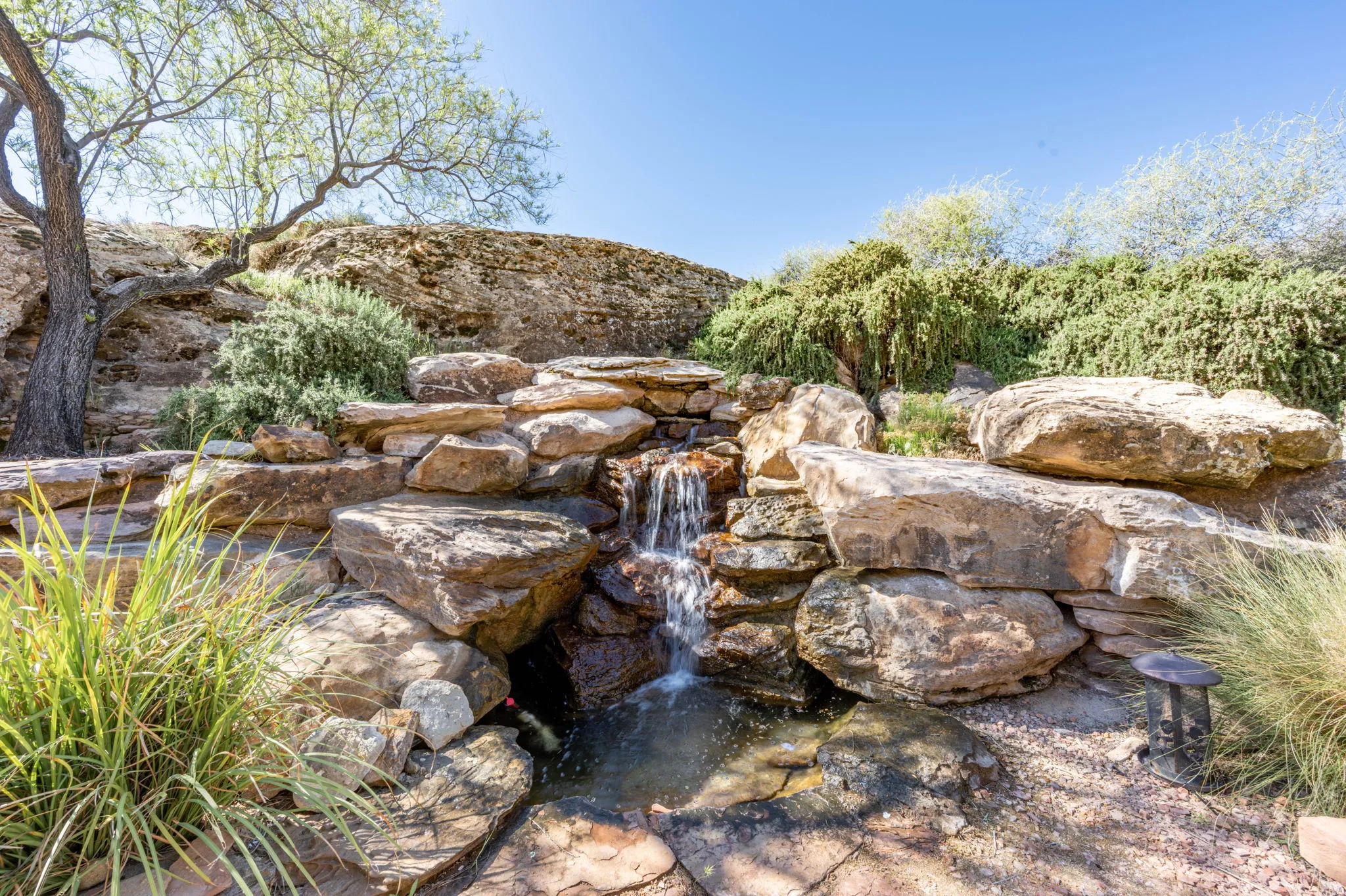 Exterior view of a garden pond