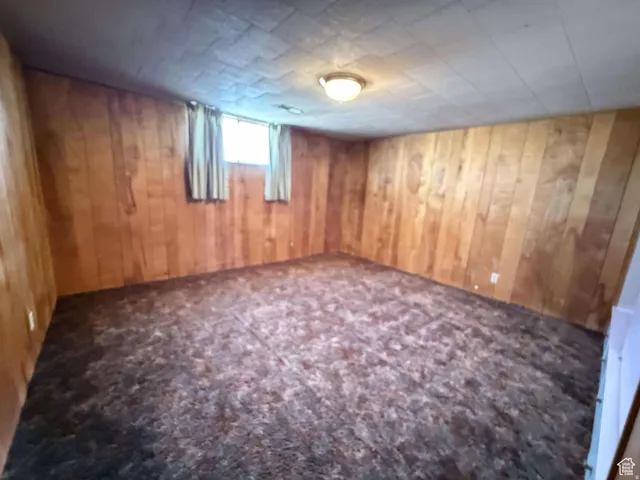 Basement with carpet and wood walls
