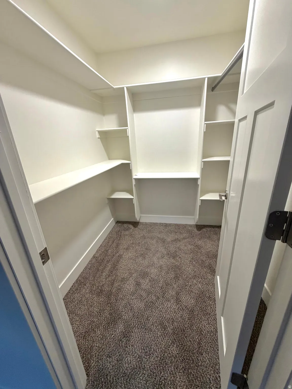Walk in closet featuring dark colored carpet