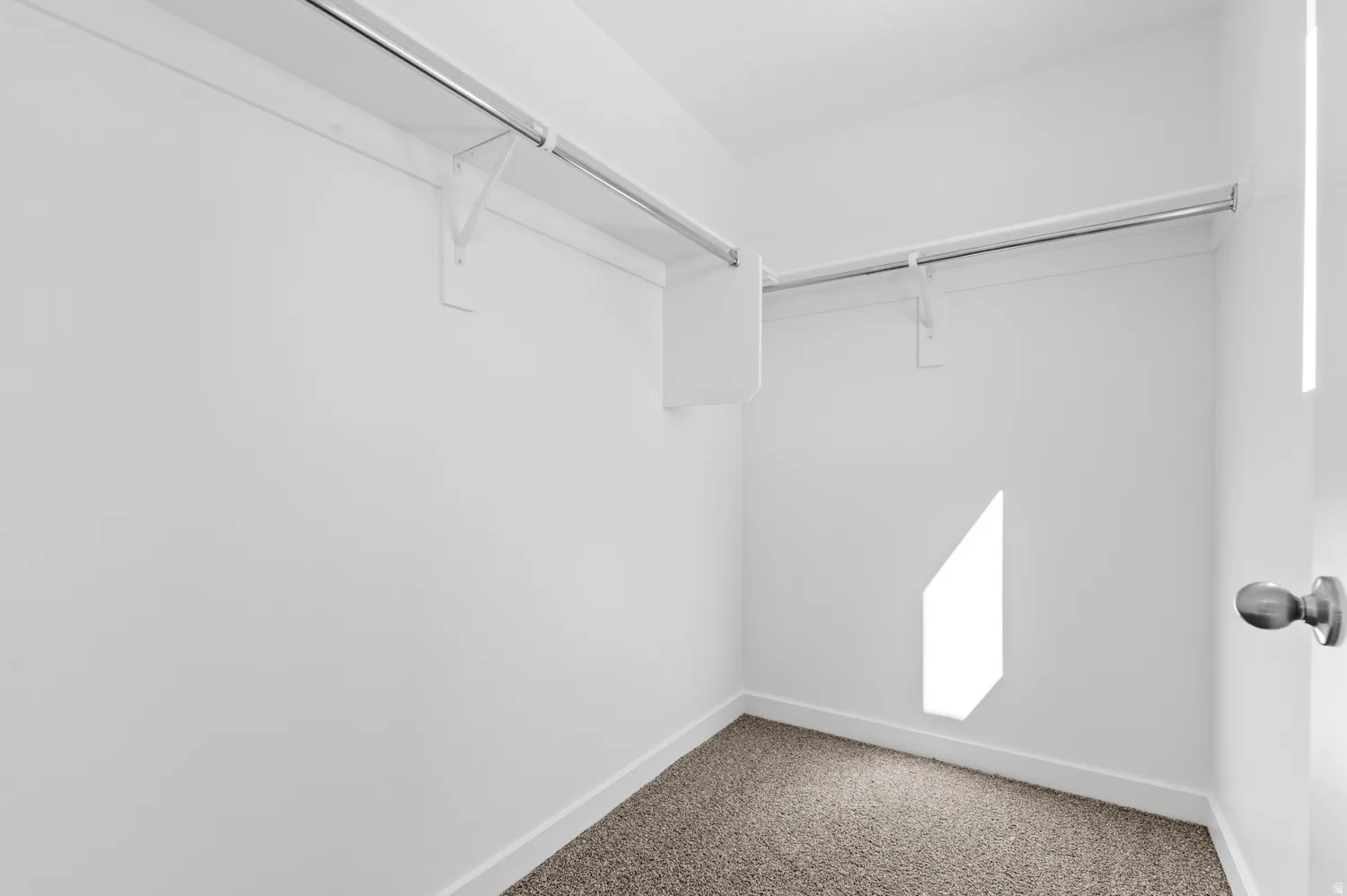 Walk in closet featuring carpet