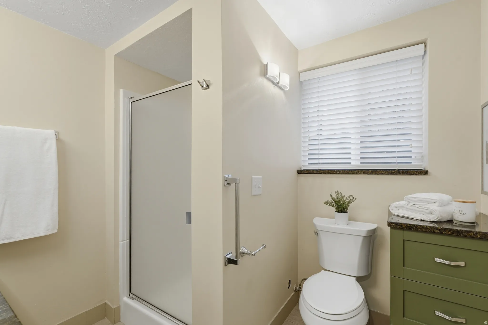 Basement bathroom (possible ADU)