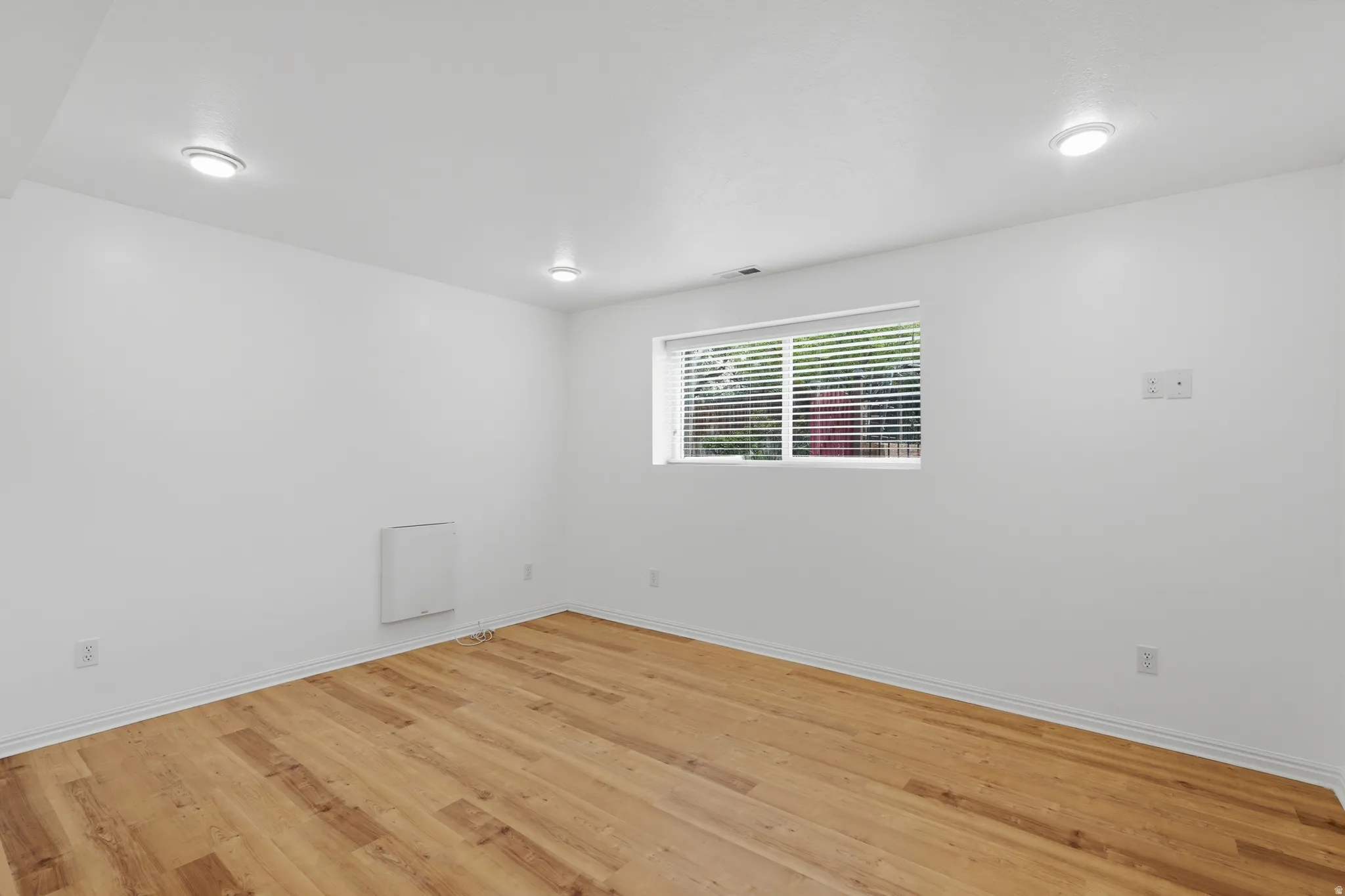 Basement bedroom (possible ADU)