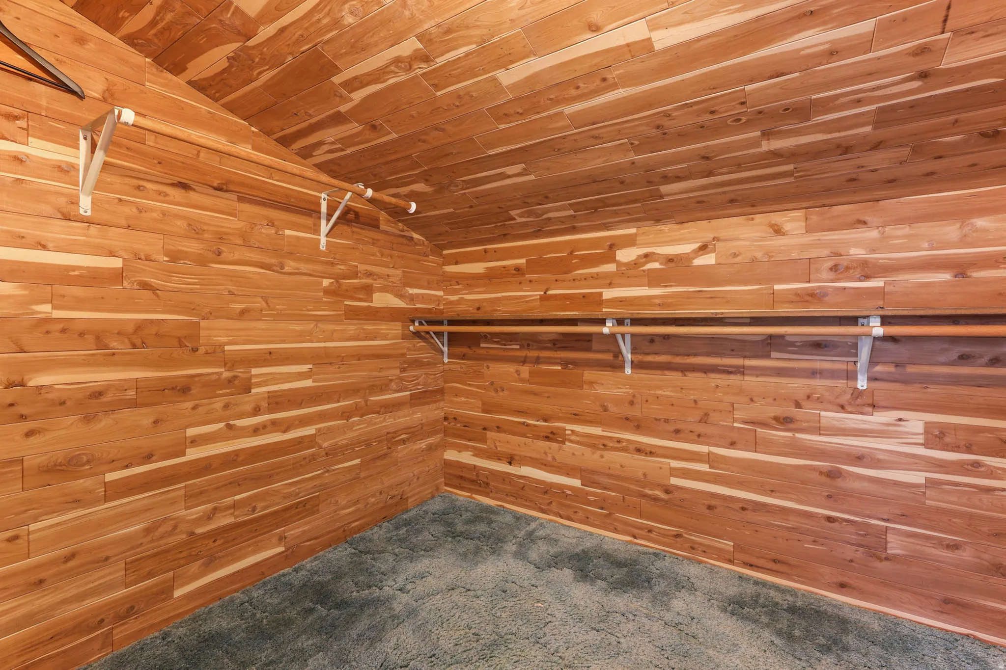 Walk in closet featuring carpet flooring and vaulted ceiling