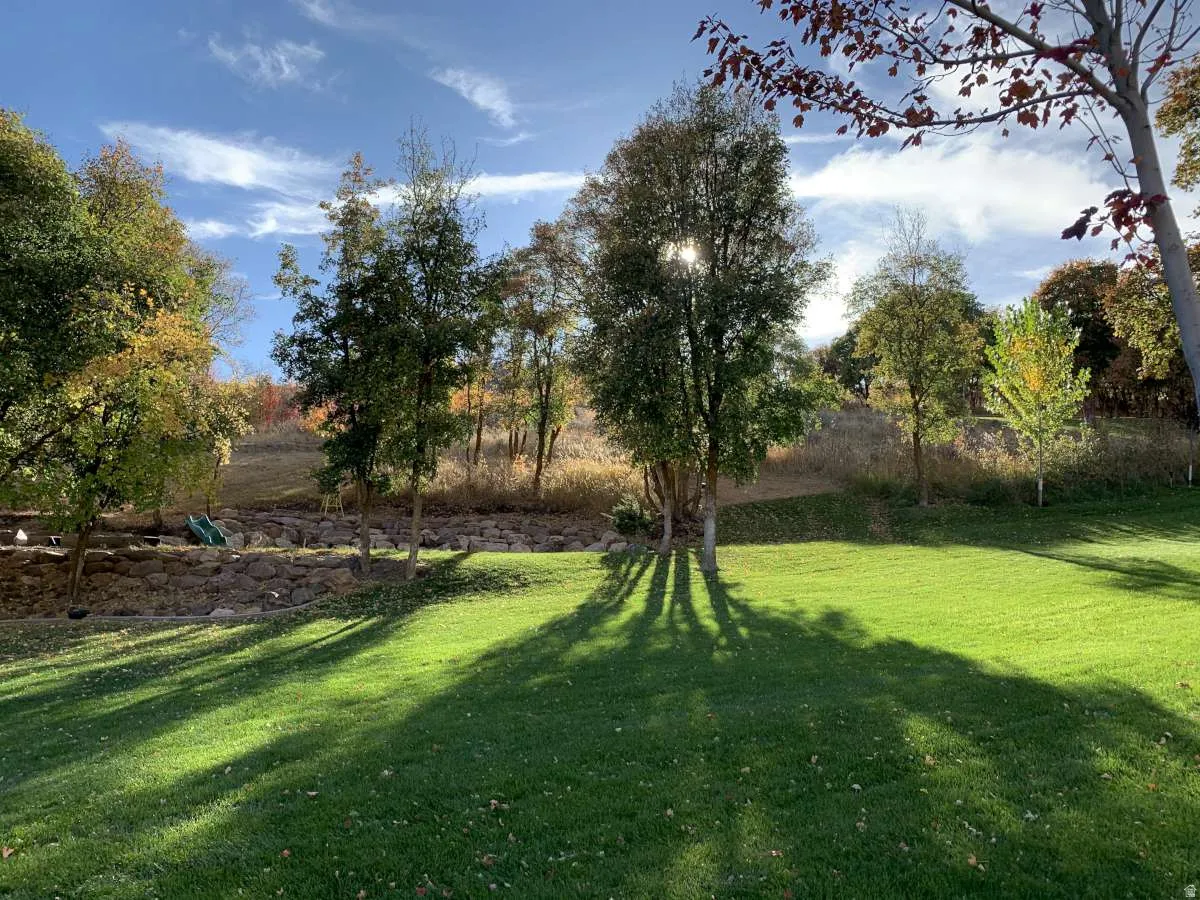 View of green lawn
