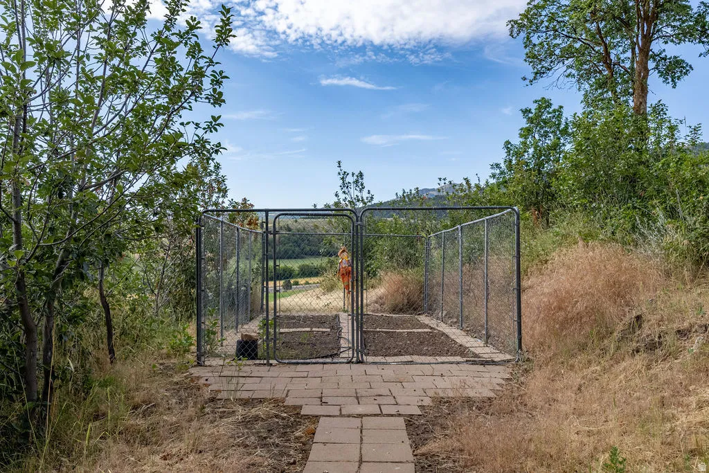 Chain-link fenced enclosure featuring a paver walkway entrance and natural landscaping