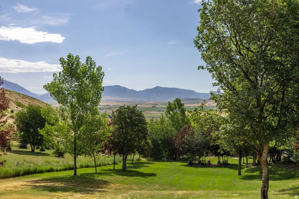 Expansive green lawn with mature trees and distant mountain ranges