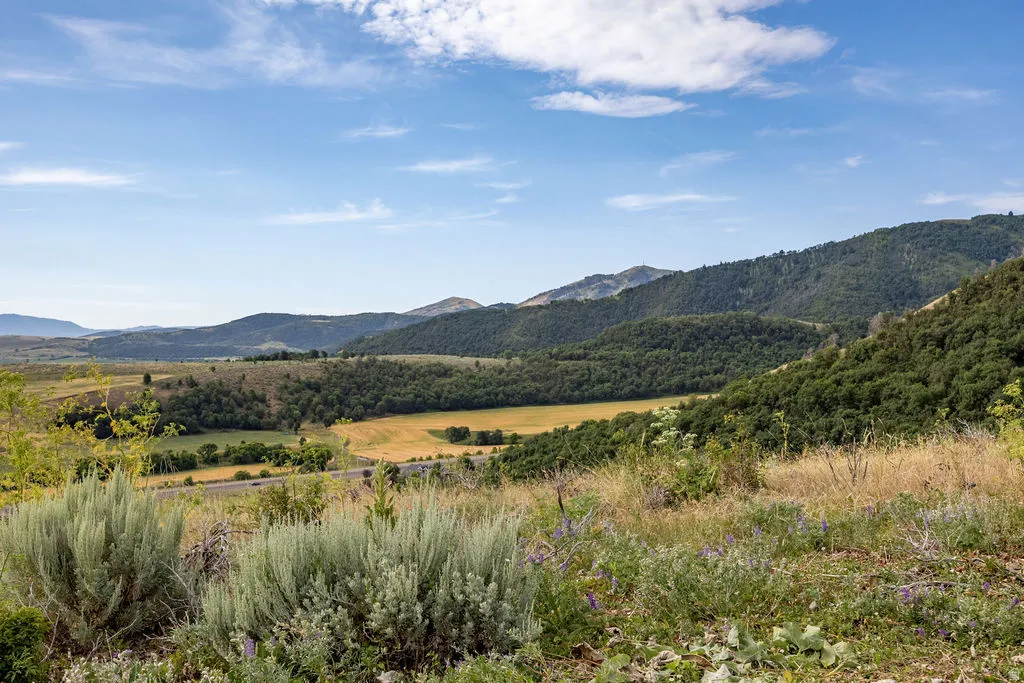 Expansive natural landscape featuring rolling hills and distant mountains