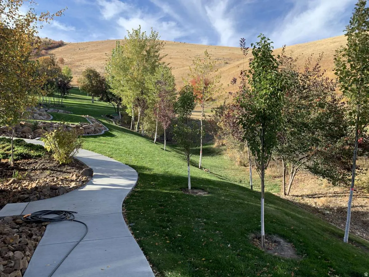 View of community