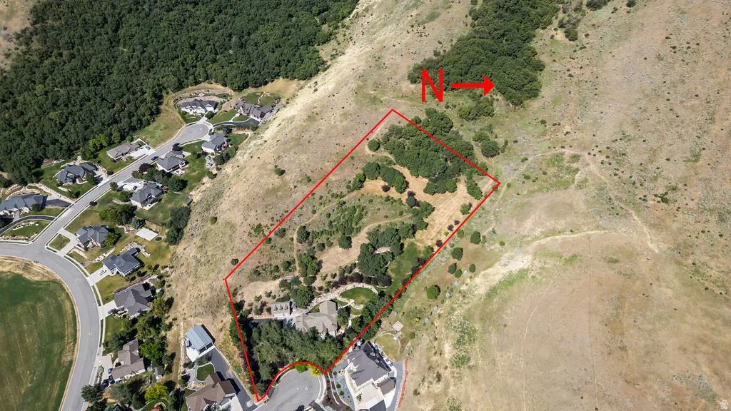Elevated aerial perspective showcasing a substantial property outlined in red, featuring a partial residential structure, mature tree coverage, and surrounding natural terrain