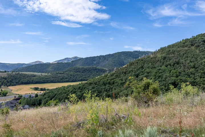 Expansive hillside property with natural vegetation and distant mountain ranges