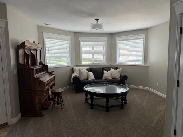 Living area featuring carpet and baseboards