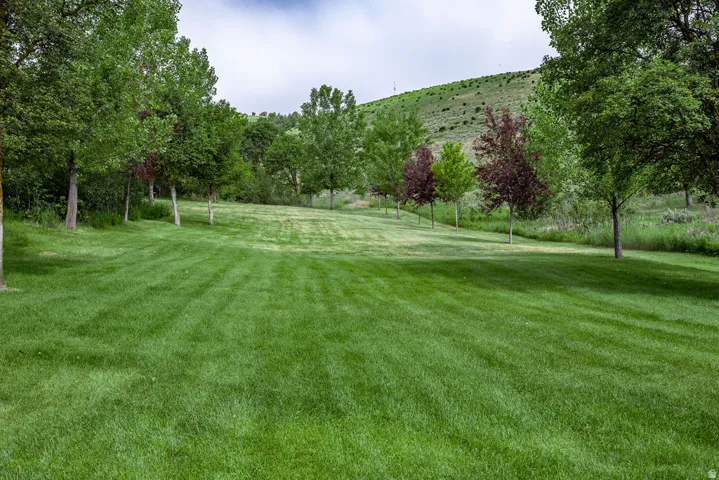 Expansive lawn area featuring mature trees and a gently sloped natural backdrop