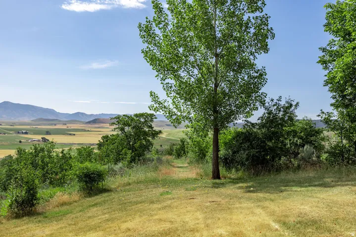 Expansive grounds featuring a mature tree, natural landscaping, and sweeping mountain and valley scenery