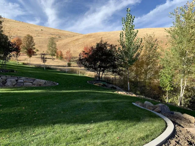 View of green lawn