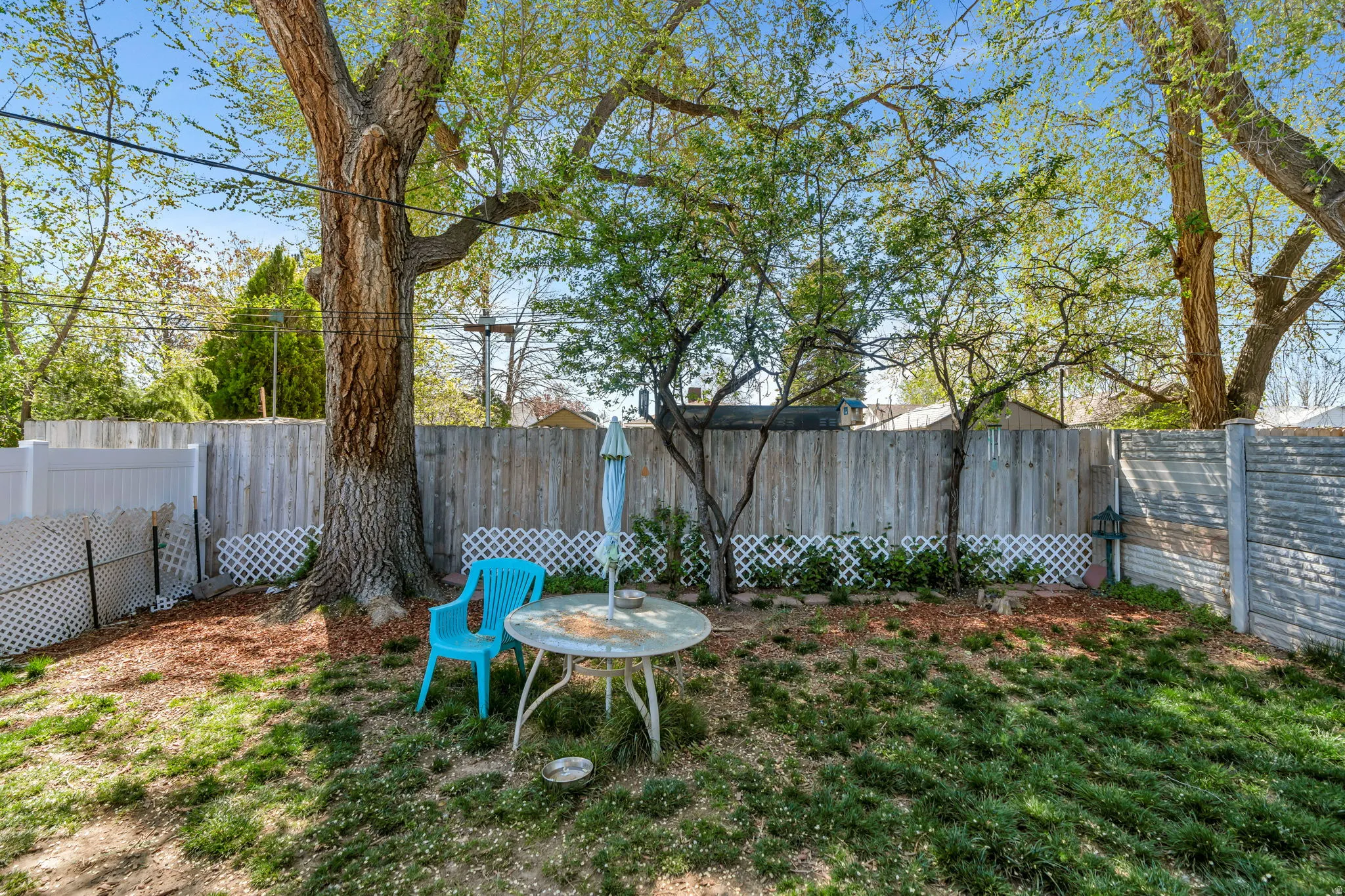 View of fenced backyard