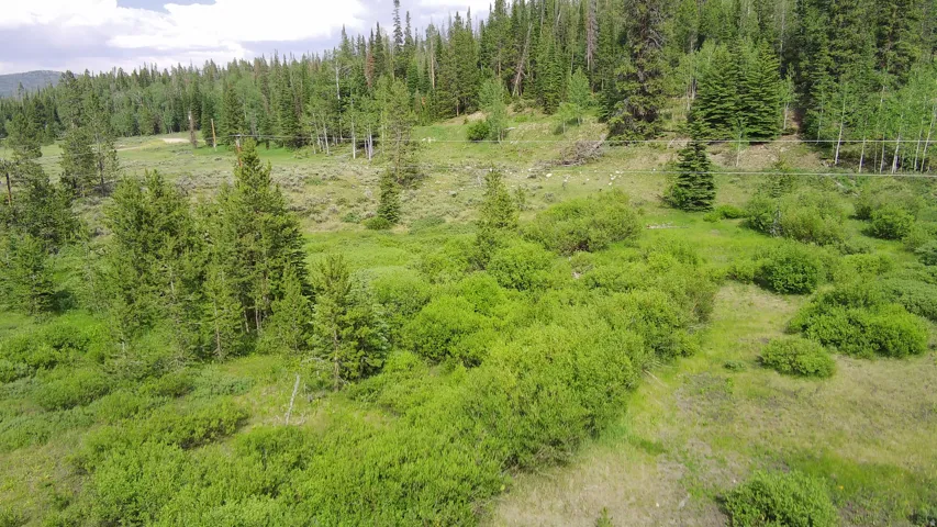 Overview of rural landscape with a heavily wooded area