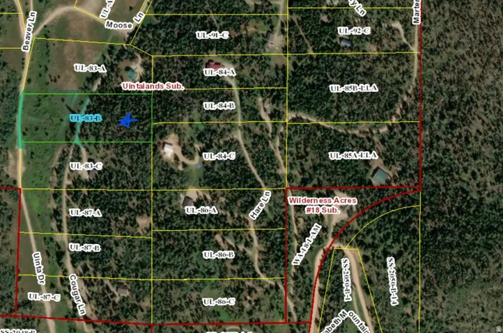 Plat Map. Illustrating lot divisions and identifying specific parcels within the property