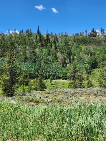 View of undeveloped land