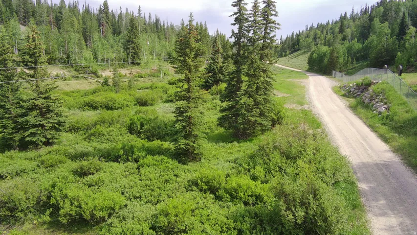 Overview of rural landscape with a heavily wooded area