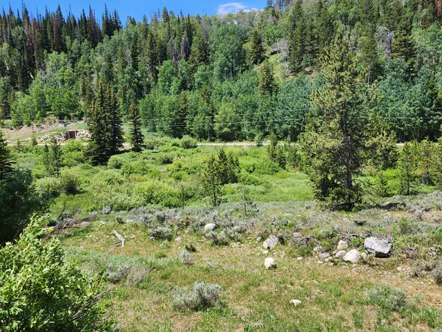 View of nature