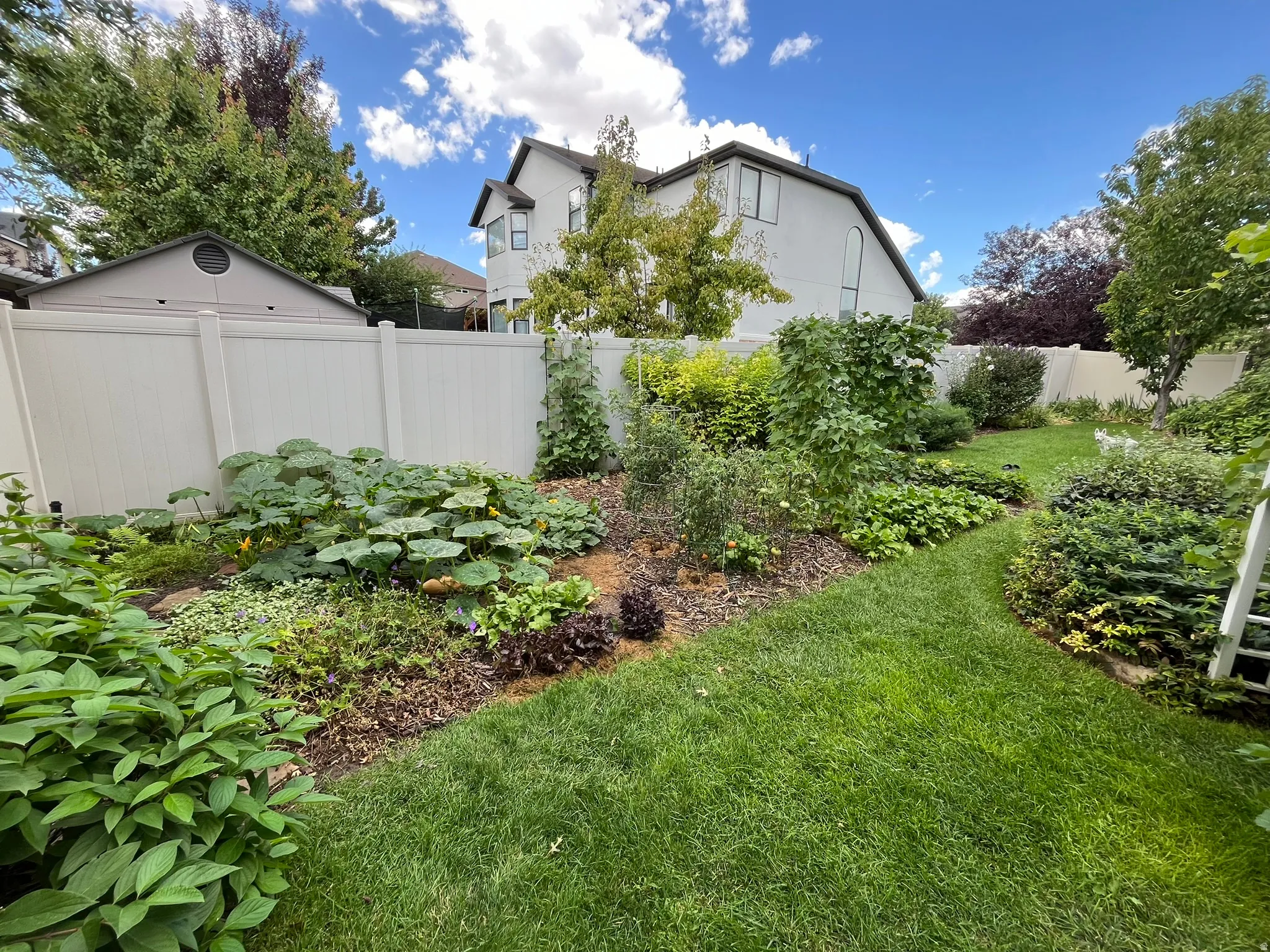 View of fenced backyard