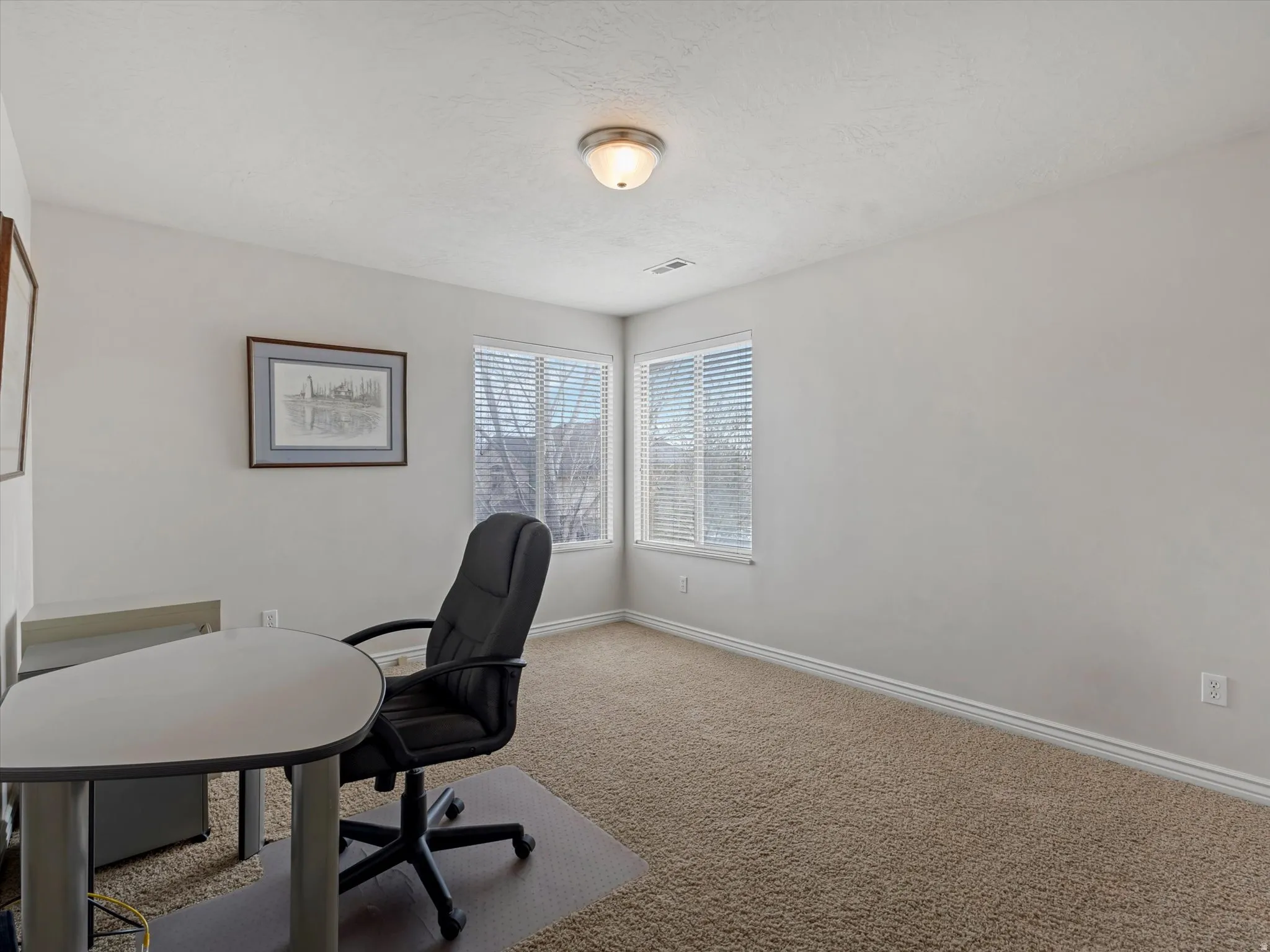 Carpeted home office with baseboards