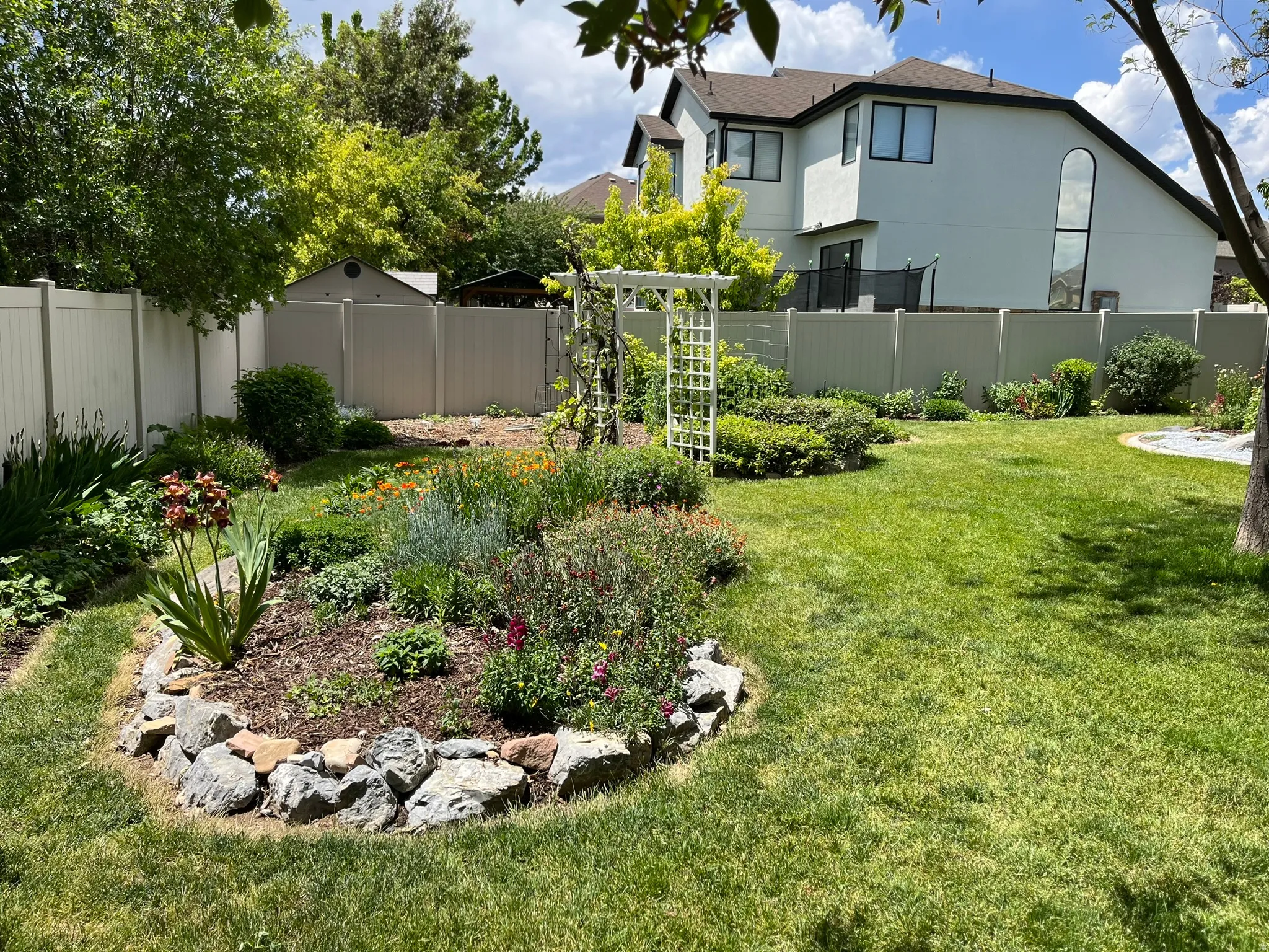 View of fenced backyard