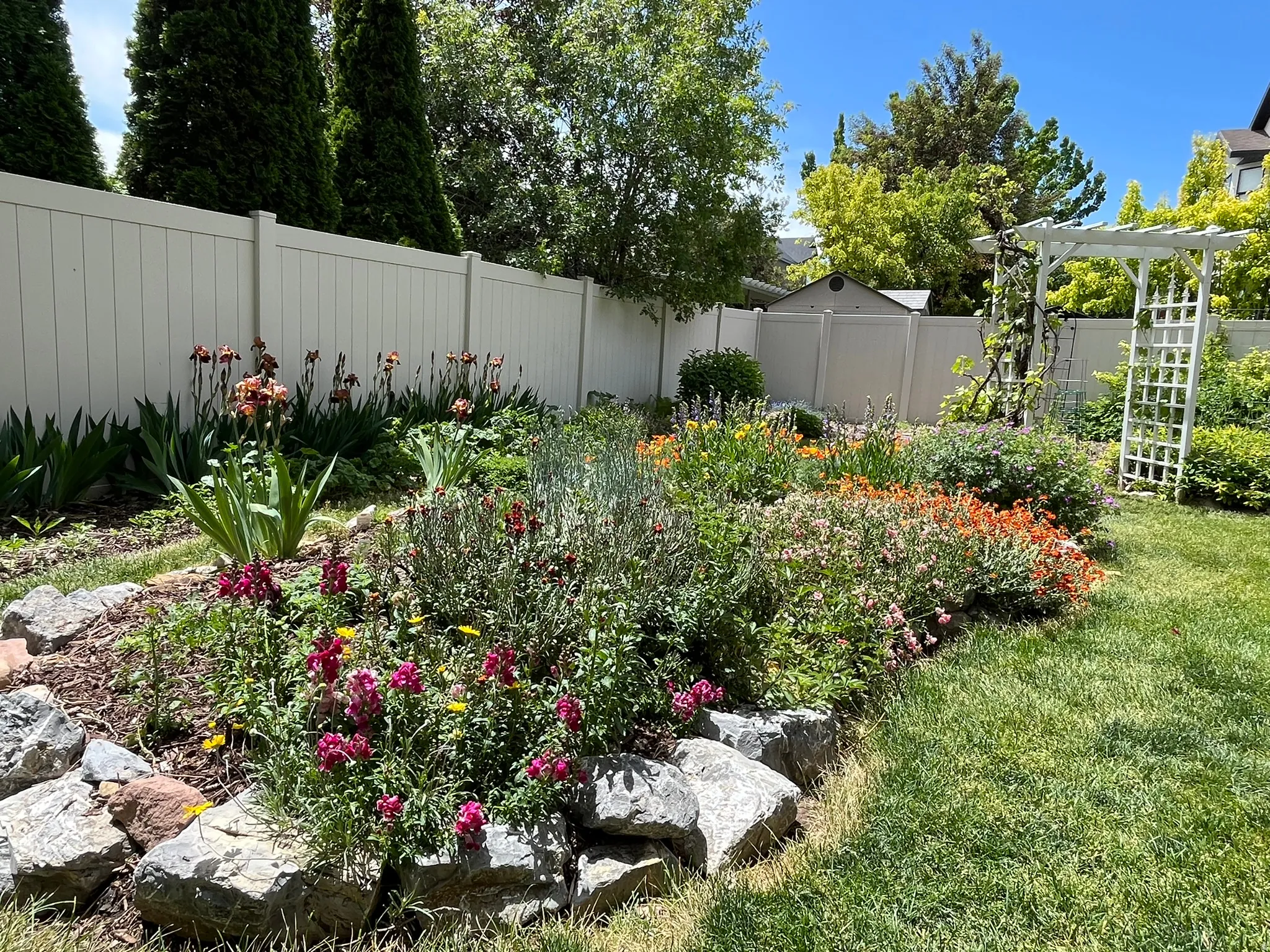 View of fenced backyard