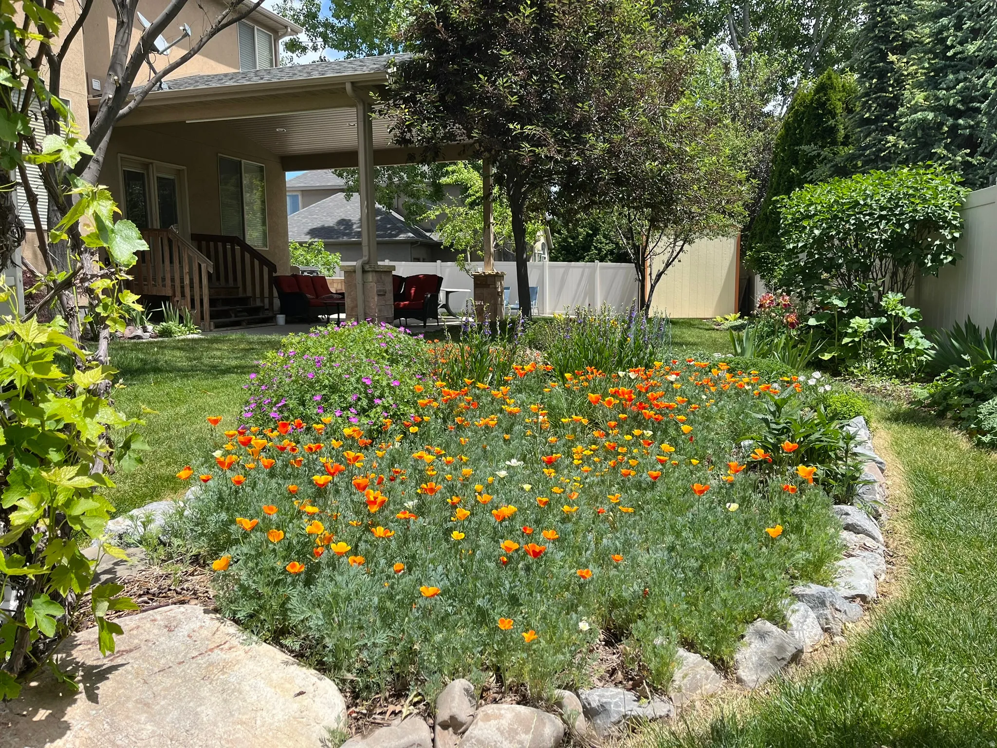 View of fenced backyard