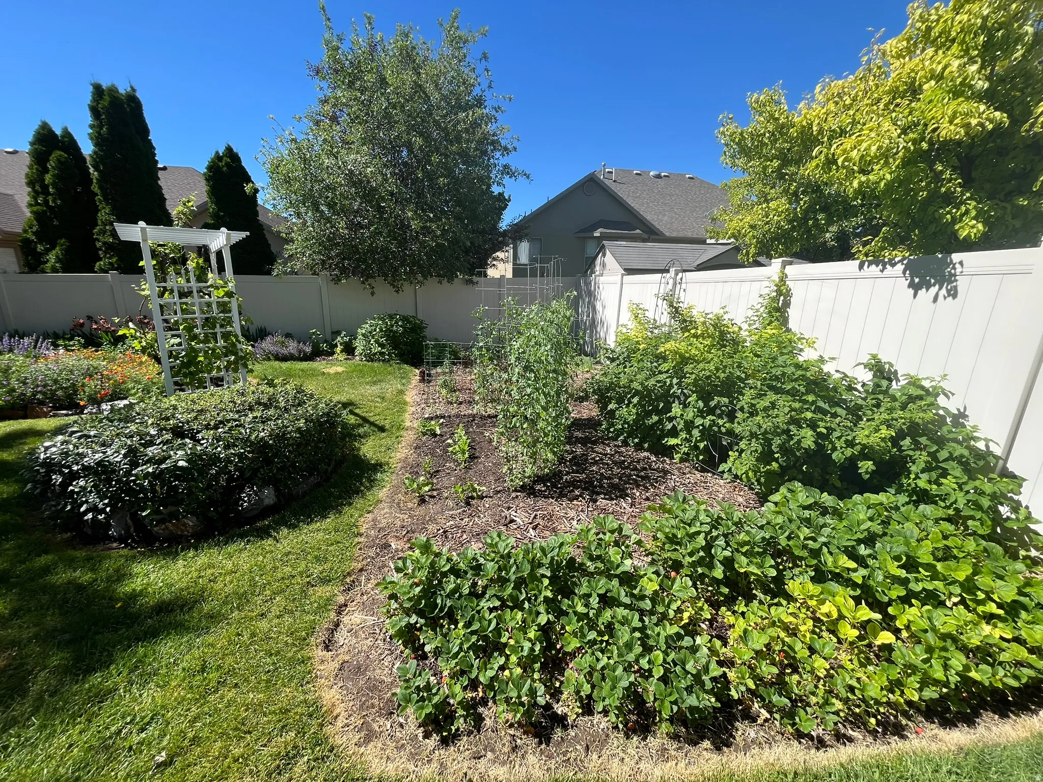 View of fenced backyard