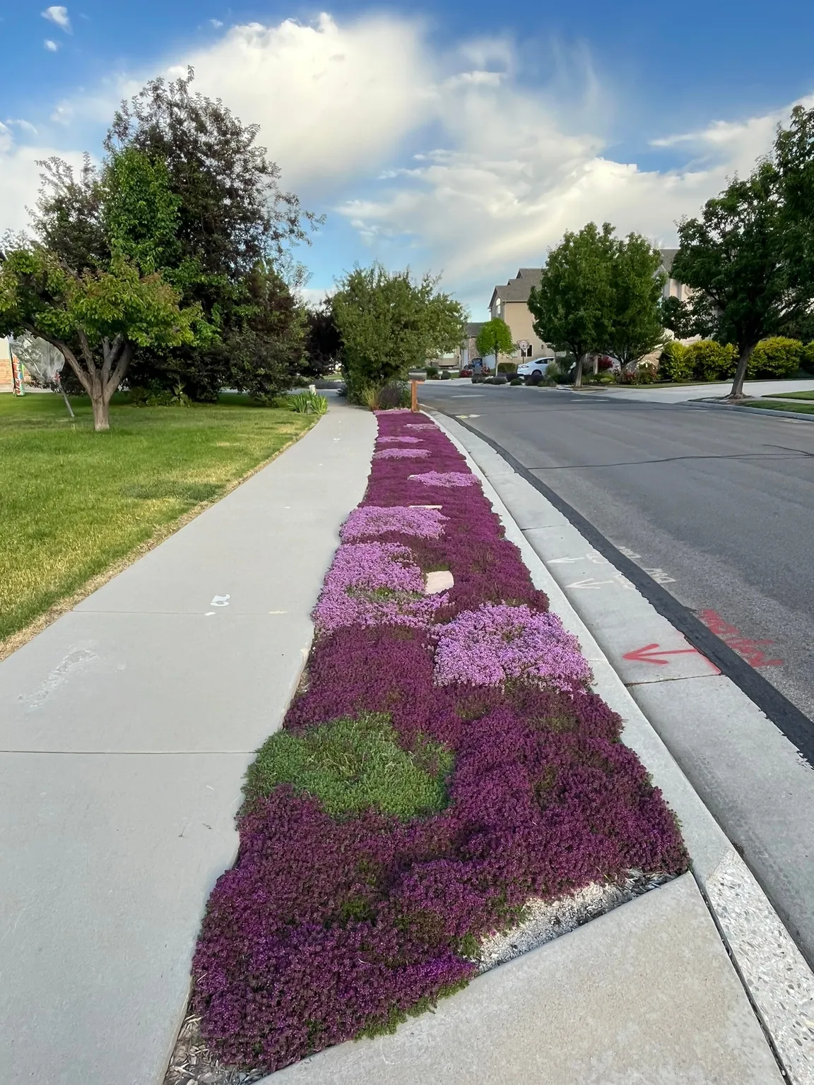 View of asphalt street featuring sidewalks and curbs