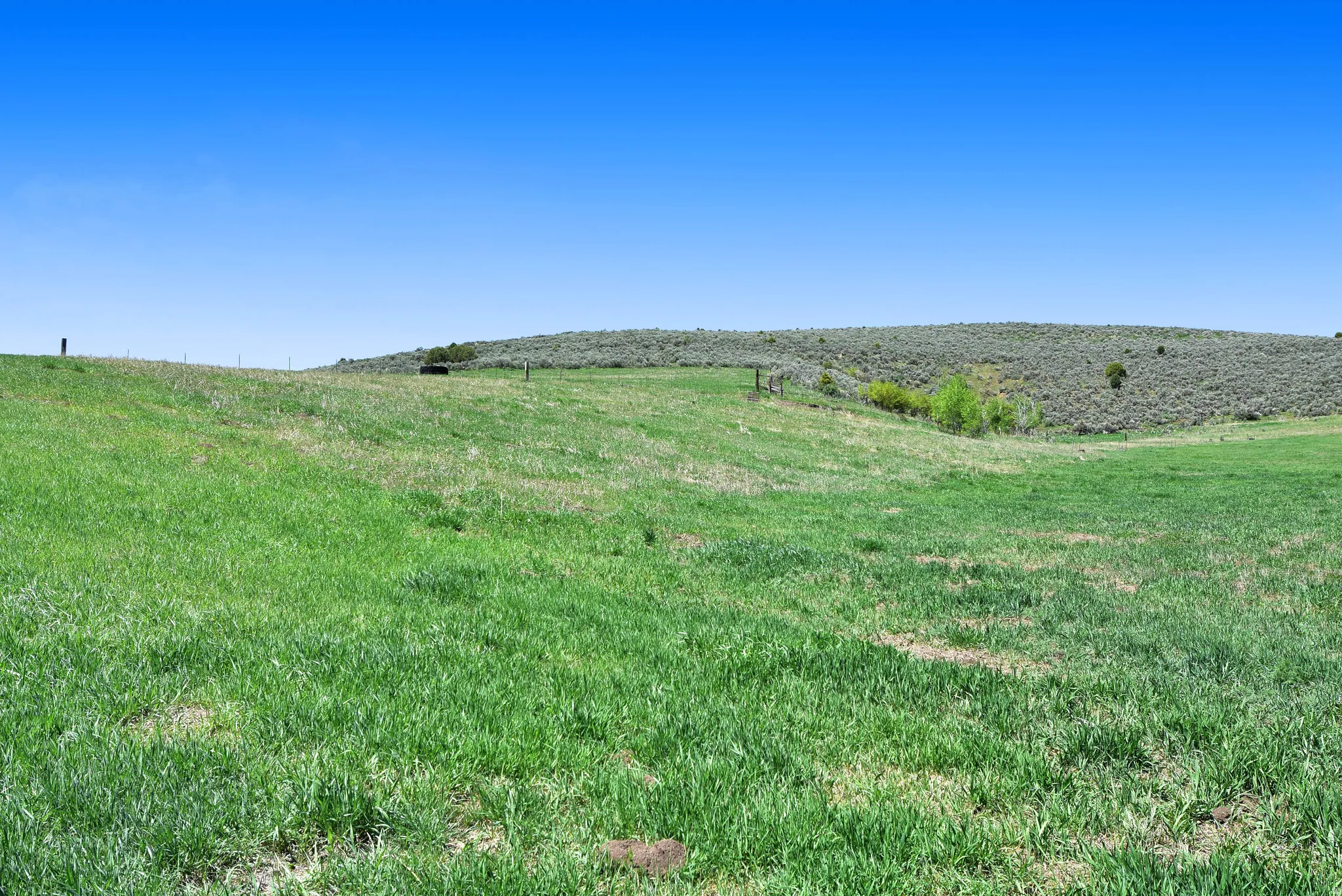 View of local wilderness featuring rural landscape