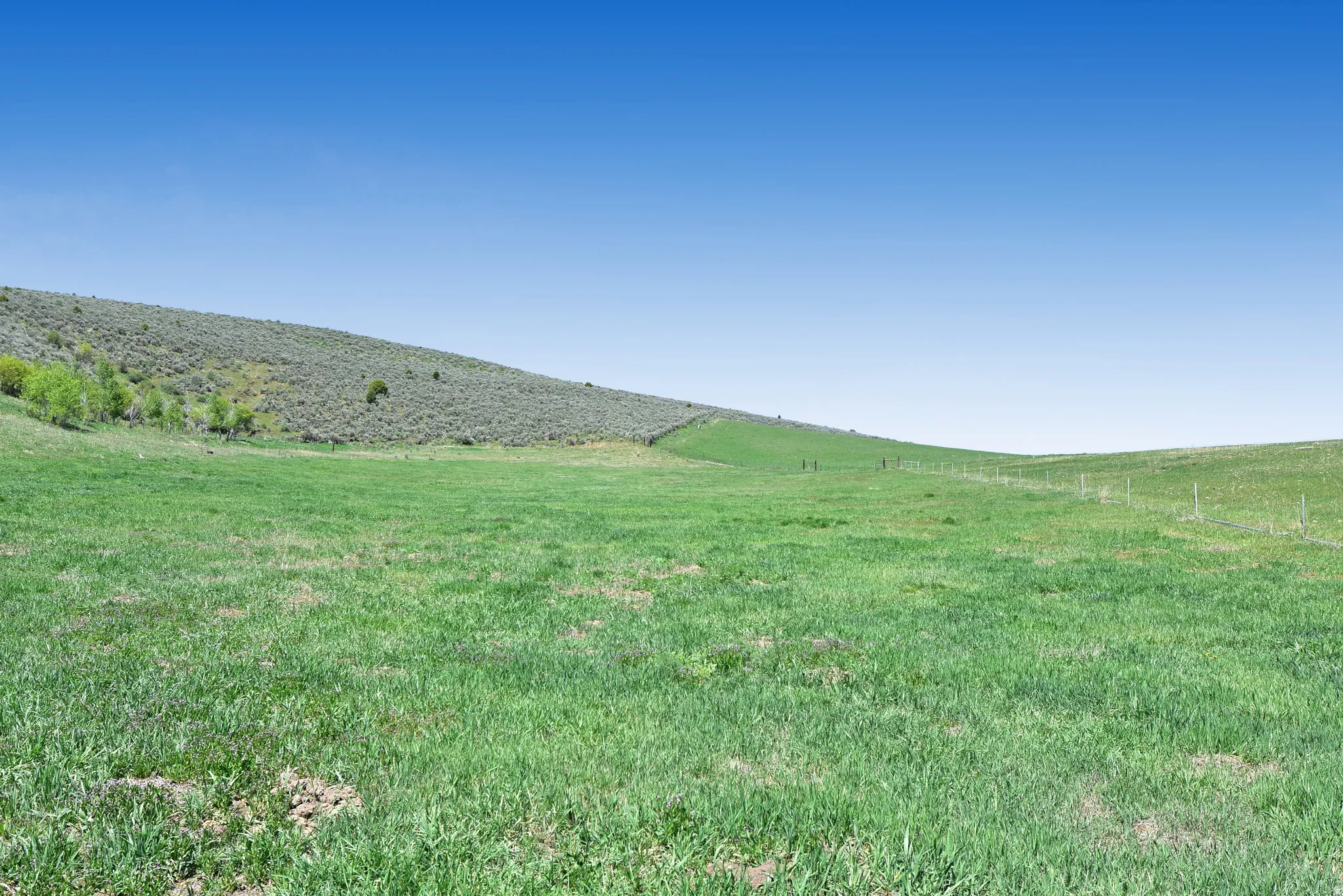 View of green lawn featuring a view of rural / pastoral area