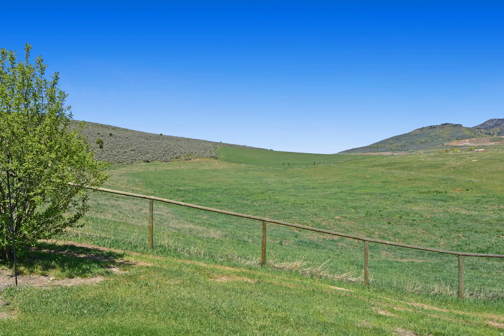 View of yard with a rural view and a mountain view