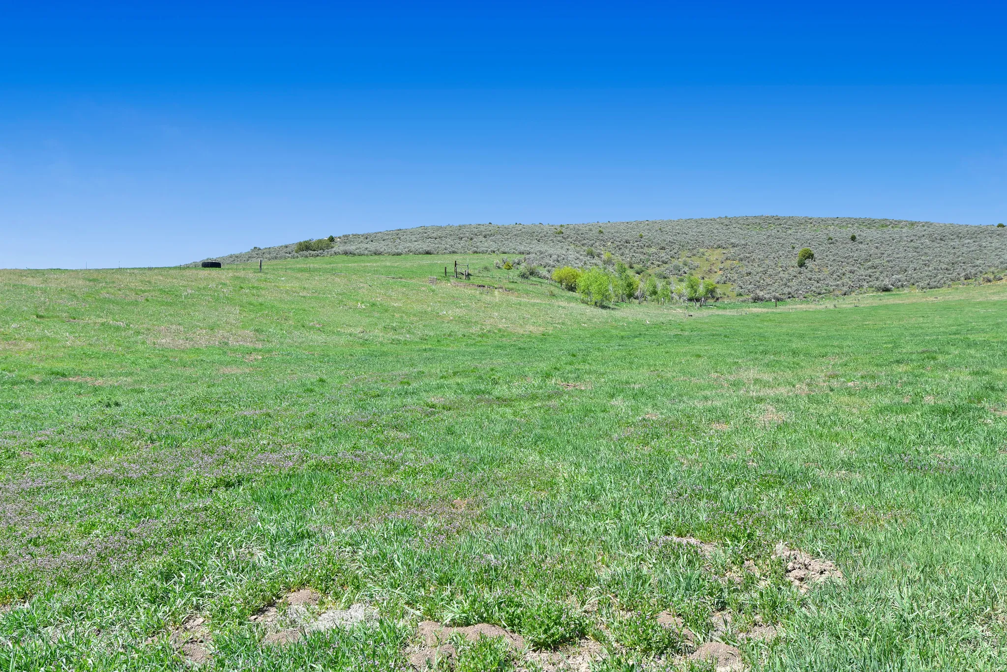 View of grassy yard with a view of countryside