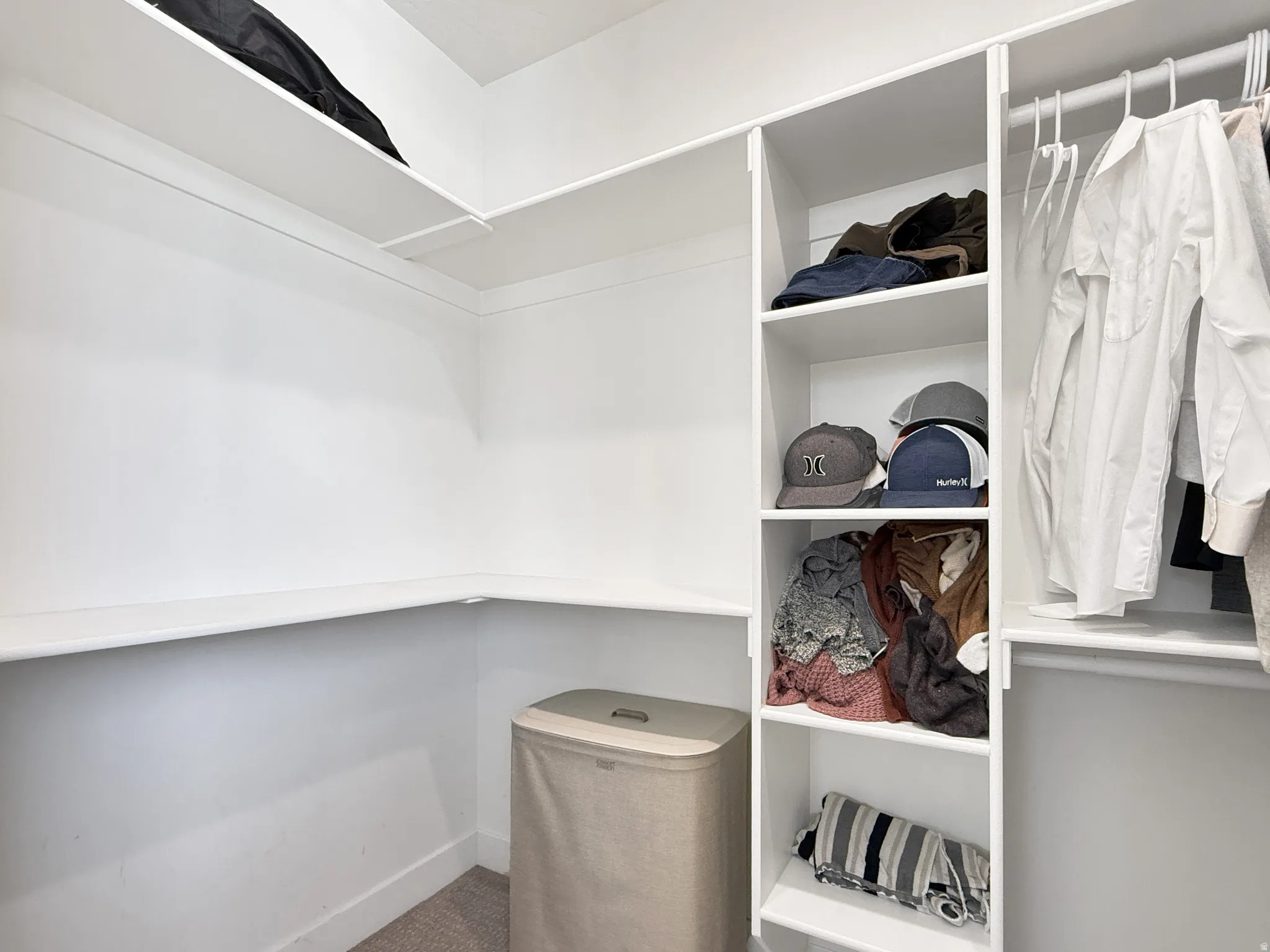Walk in closet featuring carpet