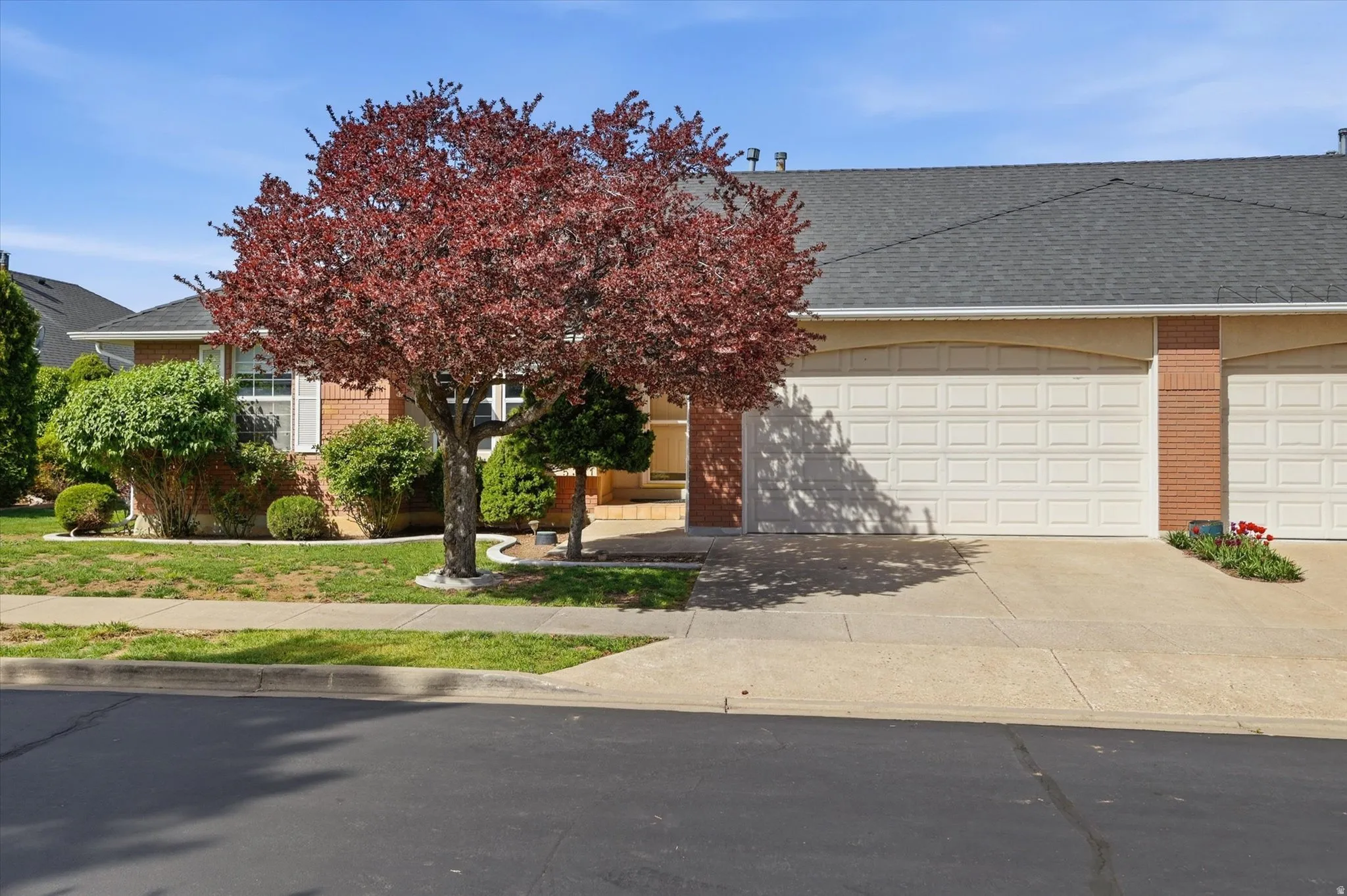 Front view of property featuring garage and mature tree