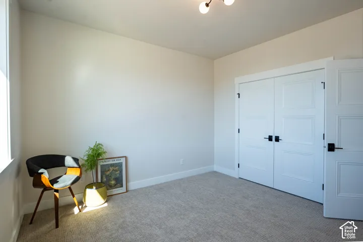 Light beige wall paint, carpeted flooring, white paneled doors with matte black hardware, and an attached ceiling light fixture