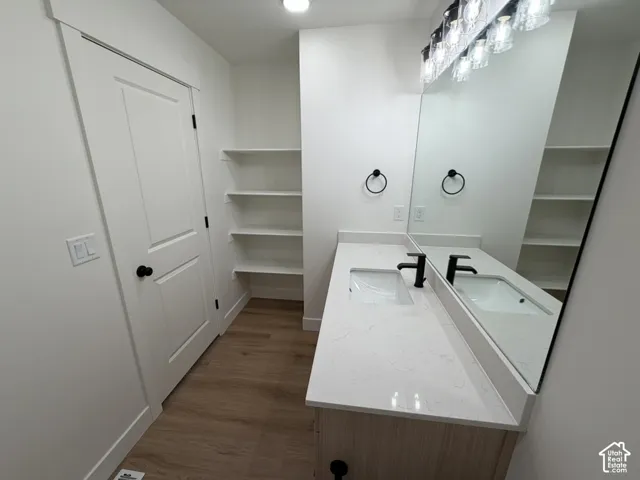 Bathroom with vanity and dark wood finished floors