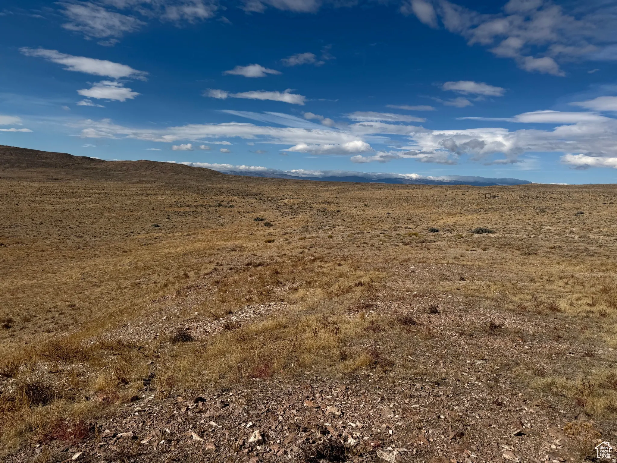 View of local wilderness featuring a mountain backdrop