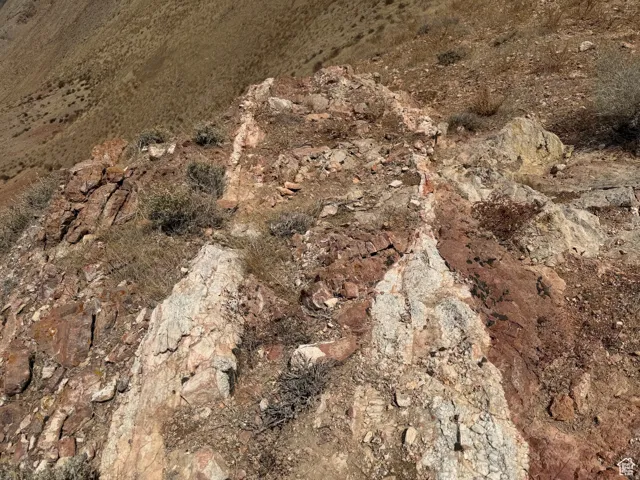 Detailed view