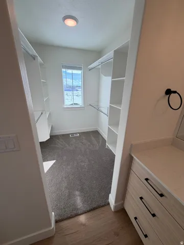 Walk in closet featuring dark colored carpet and dark wood finished floors