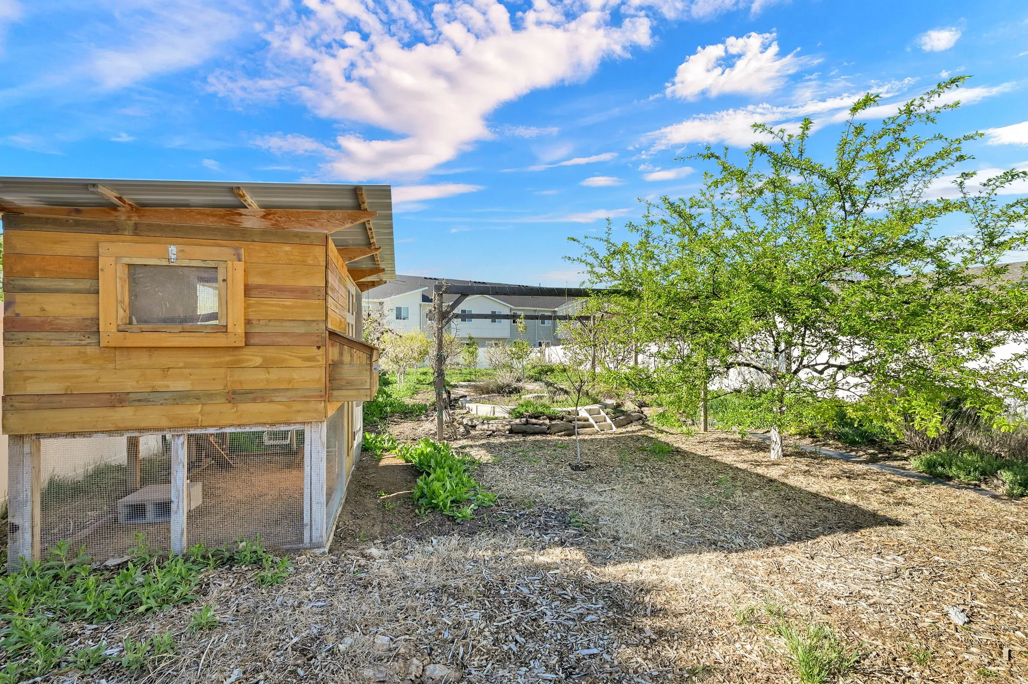 Backyard with chicken coop and an outbuilding