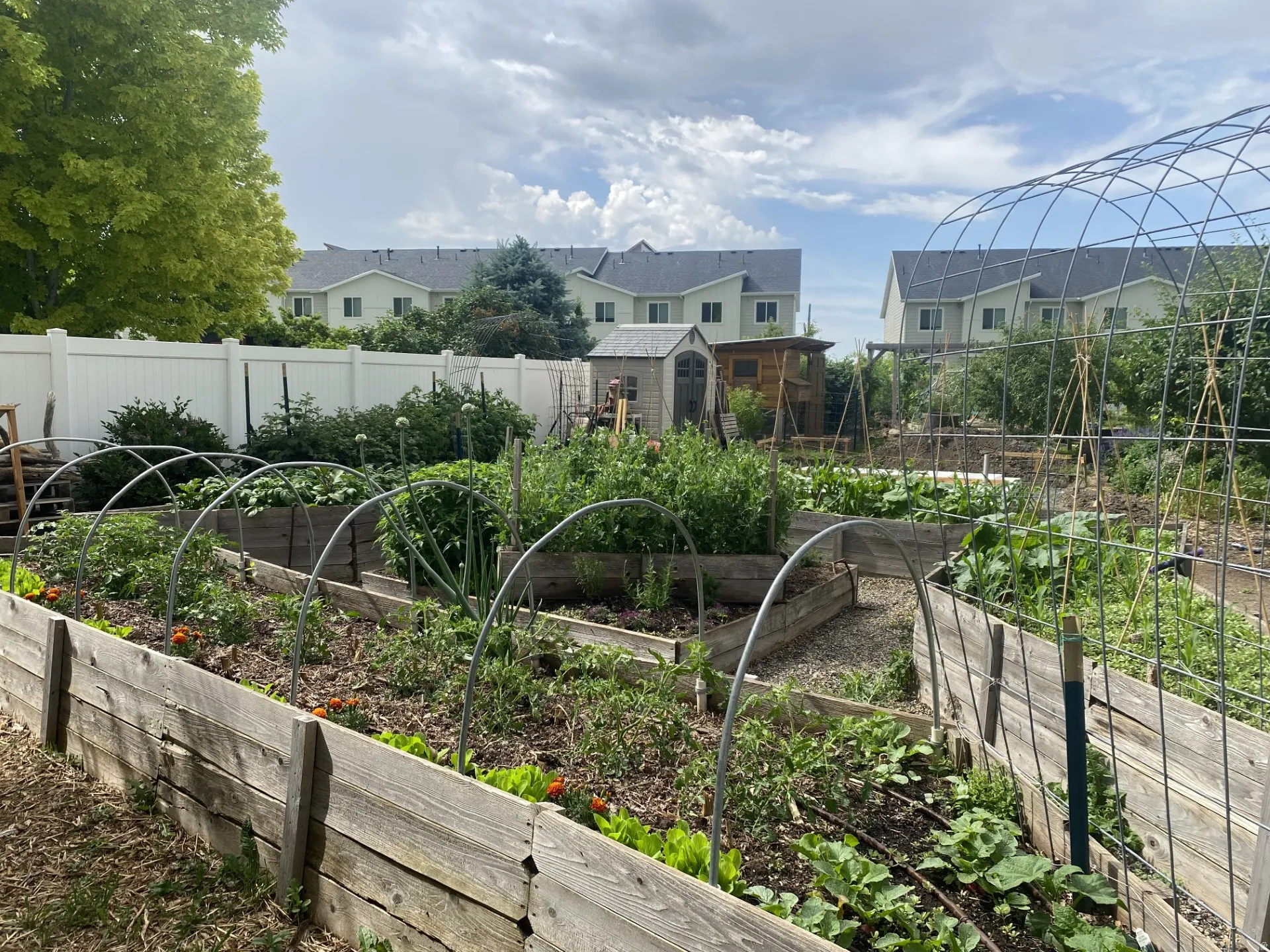 Fenced backyard with blooming garden and a shed and a vegetable garden-2025