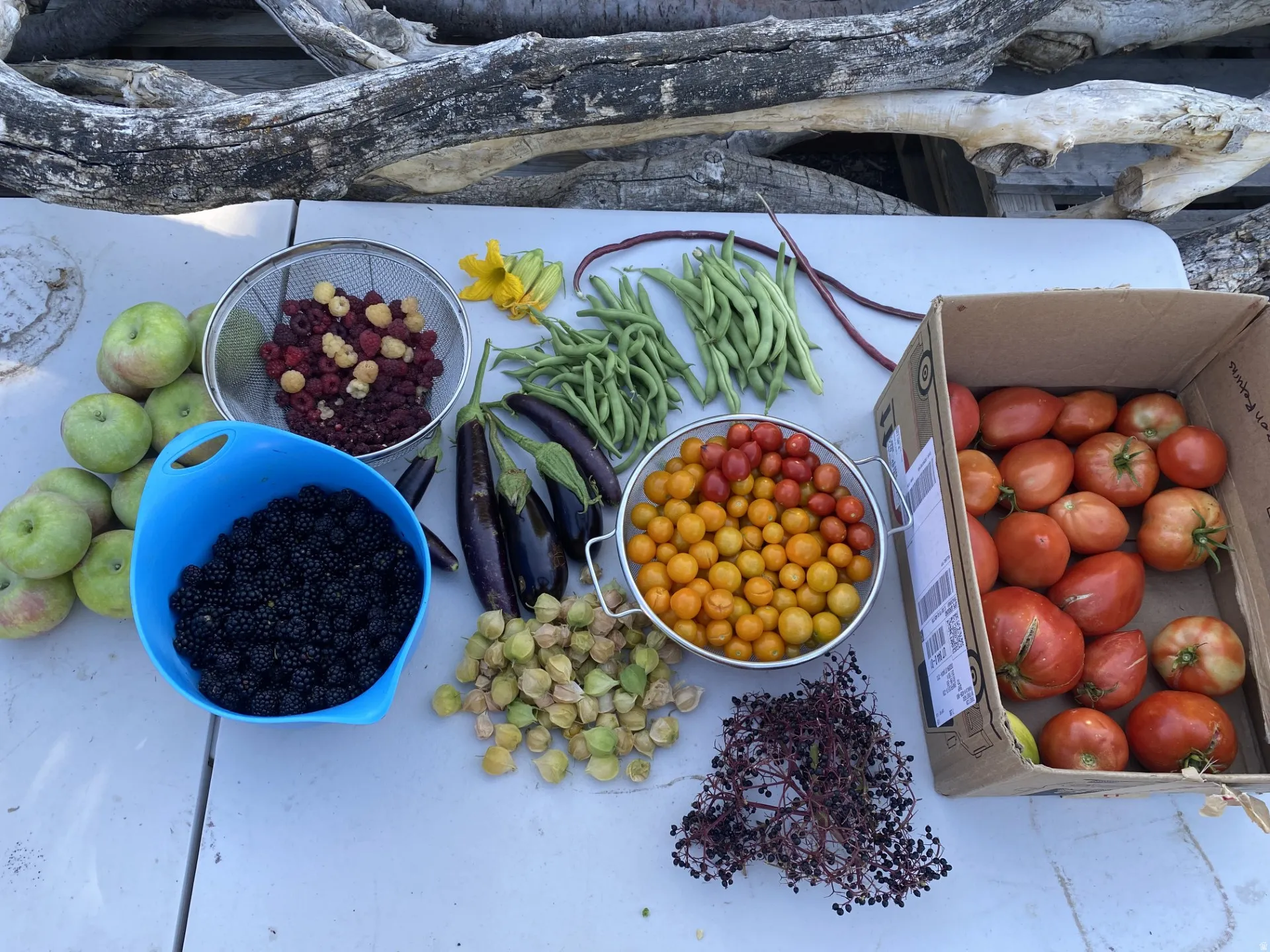 Organically home grown 2025