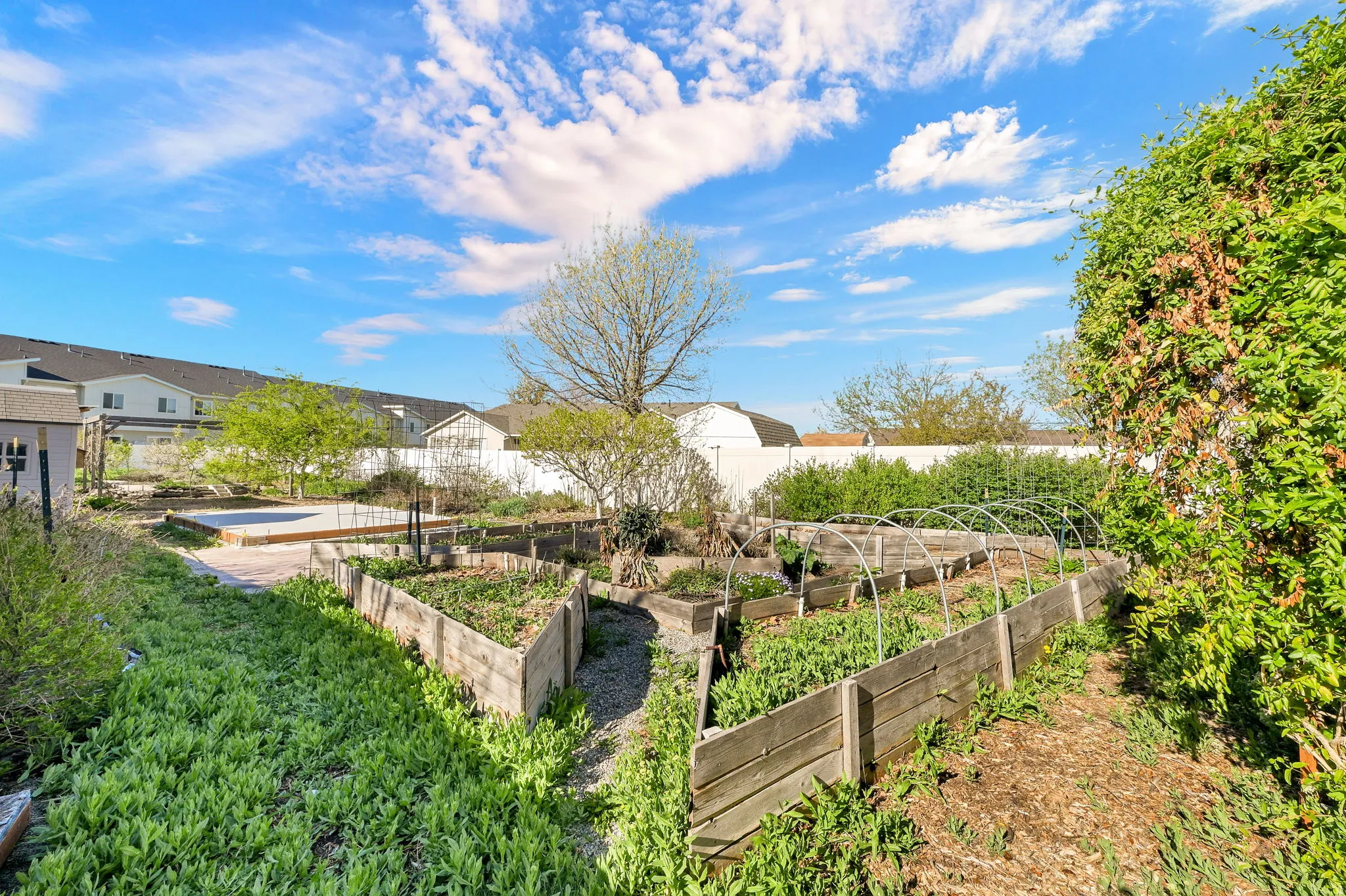 View of yard featuring a garden